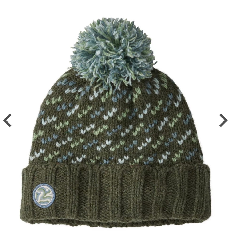 NEW Patagonia hat